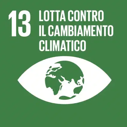 Obiettivo 13 - Lotta contro il cambiamento climatico